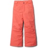 Hot Coral