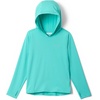 image:imageColumbia Kids Chill River Hoodie Little KidBig KidDolphin