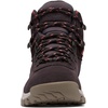 image:imageColumbia Womens Discontinued Newton Ridge Plus Waterproof Amped Hiking BootTimberCinder