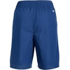 image:imageColumbia Kids Washed Out Shorts Little KidsBig KidsMountain Blue