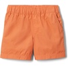 Desert Orange