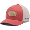 Washed Red/Leather Logs Graphic