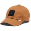 Camel Brown/Stop and Look