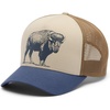 Nocturnal/Ancient Fossil/Buffalo