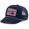 Collegiate Navy/Usa Bear