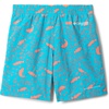 image:imageColumbia Kids PFG Super Backcast II Shorts Little KidBig KidOcean TealPaisled Vacation