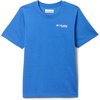 Vivid Blue Graphic