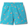 image:imageColumbia Kids PFG Super Backcast II Shorts Little KidBig KidOcean TealPaisled Vacation