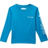 Blue Echo/Cool Grey Logo
