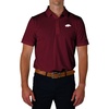 image:imageColumbia Golf Mens Arkansas Razorbacks Drive Polo
