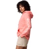 image:imageColumbia Womens Trek Graphic HoodieAlpenglowGem Columbia Sleeve