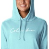 image:imageColumbia Womens Trek Graphic HoodieAquamarineScripted Brand
