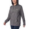 image:imageColumbia Womens Trek Graphic HoodieCity Grey Heather