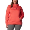 image:imageColumbia Womens Trek Graphic HoodieJuicyScripted Brand