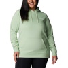image:imageColumbia Womens Trek Graphic HoodieSage Leaf