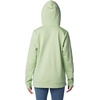 image:imageColumbia Womens Trek Graphic HoodieSage Leaf
