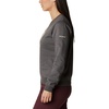 image:imageColumbia womens Columbia Trek Graphic CrewTrek Graphic CrewCharcoal HeatherStacked Gem