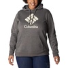 image:imageColumbia womens Trek Graphic Treatment HoodieCharcoal HeatherStacked Gem