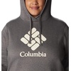 image:imageColumbia womens Trek Graphic Treatment HoodieCharcoal HeatherStacked Gem