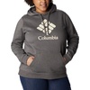 image:imageColumbia womens Trek Graphic Treatment HoodieCharcoal HeatherStacked Gem