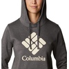 image:imageColumbia womens Trek Graphic Treatment HoodieCharcoal HeatherStacked Gem