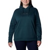 image:imageColumbia womens Trek Graphic Treatment HoodieNight WaveDusty Pink Logo
