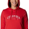 image:imageColumbia womens Trek Graphic Treatment HoodieRed LilyCsc Collegiate