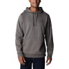 image:imageColumbia mens Trek HoodieCharcoal HeatherCsc Sleeve Logo