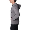 image:imageColumbia mens Trek HoodieCity Grey HeatherTreestriped Flag