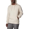 image:imageColumbia mens Trek HoodieDark StoneCsc Sleeve Logo
