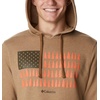 image:imageColumbia mens Trek HoodieDelta HeatherTreestriped Flag