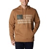 image:imageColumbia mens Trek HoodieDeltaTreestriped Flag