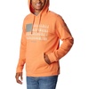 image:imageColumbia mens Trek HoodieDesert OrangeTreestriped Flag
