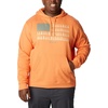 image:imageColumbia mens Trek HoodieDesert OrangeTreestriped Flag