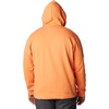 image:imageColumbia mens Trek HoodieDesert OrangeTreestriped Flag