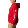 image:imageColumbia mens Trek HoodieMountain RedCsc Sleeve Logo