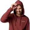 image:imageColumbia mens Trek HoodieSpicePuff Box Gem Logo