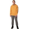 image:imageColumbia mens Trek HoodieSunstoneCsc Sleeve Logo