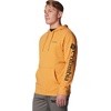 image:imageColumbia mens Trek HoodieSunstoneCsc Sleeve Logo