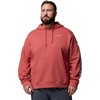 image:imageColumbia mens Trek HoodieWashed RedCsc Sleeve Logo