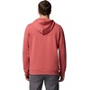 image:imageColumbia mens Trek HoodieWashed RedCsc Sleeve Logo