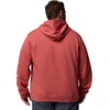 image:imageColumbia mens Trek HoodieWashed RedCsc Sleeve Logo