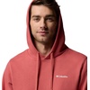 image:imageColumbia mens Trek HoodieWashed RedCsc Sleeve Logo