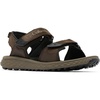Cordovan/Black
