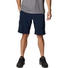 Collegiate Navy