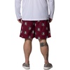 image:imageColumbia Mens Collegiate Backcast III Printed ShortFsu  Cabernet
