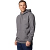 image:imageColumbia Mens Meridian Creek HoodieCity Grey Heather