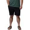 image:imageColumbia Mens Sage Peak Chino ShortBlack