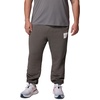 image:imageColumbia Mens Trek JoggerCharcoal HeatherBoxy Brand