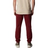 image:imageColumbia Mens Trek JoggerRed JasperVertical Logo